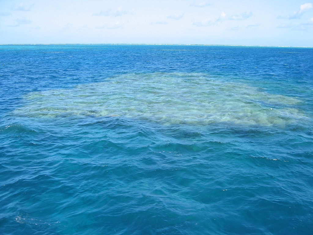 072 Great Barrier Reef.jpg